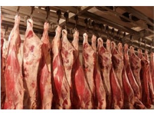 Україна має намір наростити виробництво олійних, молока і м\'яса на 35-60%