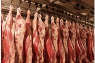 Україна має намір наростити виробництво олійних, молока і м\'яса на 35-60%