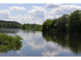 У водоймах Львова з початку року загинули три людини