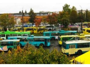Директора Луцького підприємства електротранспорту поки що не зніматимуть
