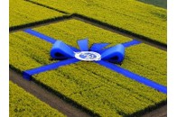 Доходи від продажу державної землі досягли 500% від запланованого
