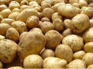 Лікувальні заклади області хочуть отримати від населення 330 тонн картоплі