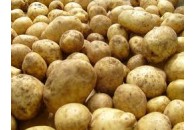 Лікувальні заклади області хочуть отримати від населення 330 тонн картоплі