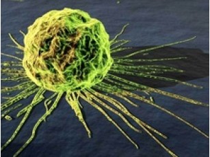 Рак наступає!