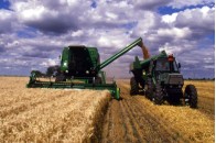 Експорту українського зерна загрожує казахський урожай