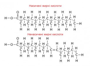 Генна інженерія дозволить виробляти машинне мастило з рослин
