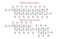 Генна інженерія дозволить виробляти машинне мастило з рослин