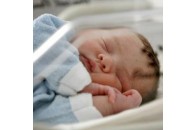 За перші шість місяців 2011 року в Луцьку народилось 2017 немовлят