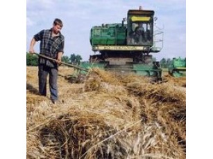 Ріст обсягів сільського господарства Волині виявився менш вражаючим, ніж очікувалось