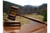Земельні торги у Луцьку провалились