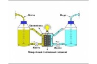 Учені пропонують виробляти електроенергію з сечі