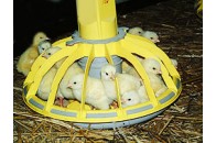 «Пан Курчак» займеться будівництвом біогазових станцій