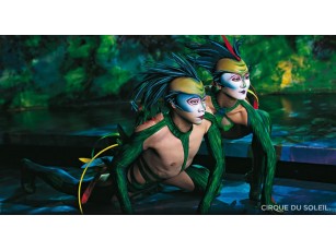 Вперше в Україні виступить всесвітньовідомий цирк Cirque du Soleil