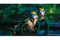 Вперше в Україні виступить всесвітньовідомий цирк Cirque du Soleil