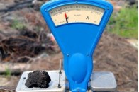 Поблизу Львова виставлено на аукціон 8 земельних ділянок