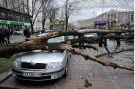 Потужний вітер жбурнув дерево на припарковані на Хрещатику машини