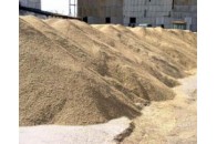 Україна намолотила вже 57,9 мільйона тонн зерна