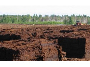Україна готова залучати інвестиції для видобутку торфу