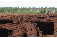 Україна готова залучати інвестиції для видобутку торфу