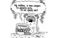 Депутати Волиньради «підкачали» бюджет за 2011 рік