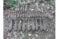 Волиняни відкопали 13 боєприпасів часів ВВВ