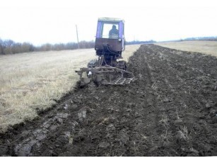 Минулорічні успіхи сільського господарства Волині на фоні України є незначними