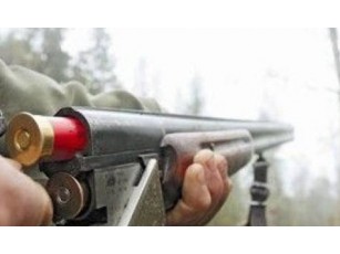 Волинським браконьєрам кордони не писані