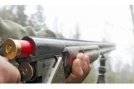 Волинським браконьєрам кордони не писані