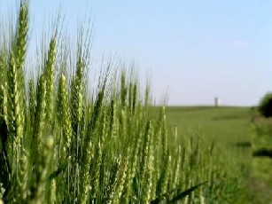 У Луцьку відкрився з’їзд Асоціації фермерів та землевласників Волині