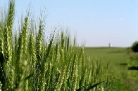 У Луцьку відкрився з’їзд Асоціації фермерів та землевласників Волині