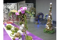 Унікальна виставка особливих ялинок у ТРЦ «Екватор»