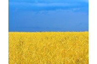 Вступ до прийдешнього України-2