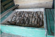 На Волині виявили цілий ящик мінометних мін