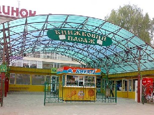 «Книжковий пасаж» на вулиці Лесі Українки не чіпатимуть