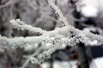 46-річний волинянин загинув від переохолодження