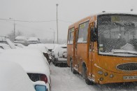 Під час перевірки перевізників – складено 447 протоколів про порушення водіїв