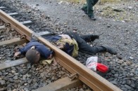 На Рівненщині потяг роз