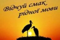У Луцьку відзначають Міжнародний день рідної мови