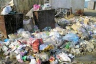 У Луцьку прибиральникам не вистачає одного сміттєвоза