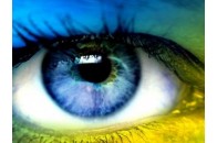 Частина депутатів Луцької міськради не має честі?