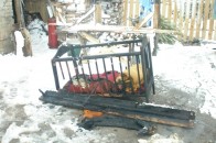 На Рівненщині під час пожежі дідусь врятував життя трьох малолітніх онуків