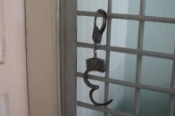 За минулу добу на Рівненщині зареєстрували 145 повідомлень про злочини