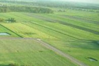 На Волині земельні рейдери злякалися скандалу