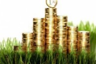 Депутати підтримали у першому читанні спрощення продажу землі