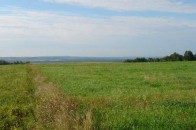 Рада передала земельні ділянки ОСББ