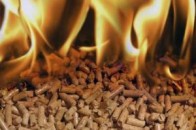 Анатолій Близнюк радить Луцькій владі переходити на альтернативне паливо