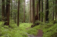 Рівень знань волинських лісівників перевіряли в атестаційній школі лісової охорони