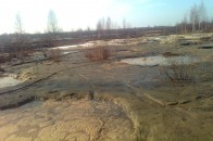 На Рівненщині правоохоронці затримали любителів «сонячного» каменя
