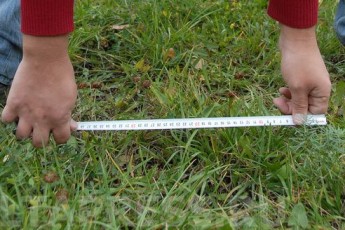 Регіонали скоро змусять українців платити ще й за повітря