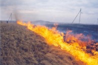На Рівненщині за вихідні дні внаслідок спалювання листя виникло 19 пожеж